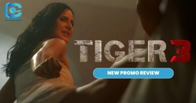 TIGER 3 NEW PROMO REVIEW